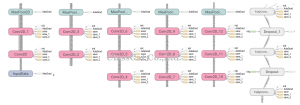 vgg_graph_components2