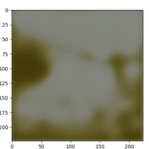 ae_oxf17f_decoded.01.06