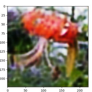 ae_oxf17f_decoded.50.06