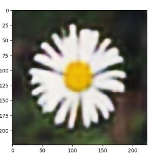 ae_oxf17f_decoded.50.10