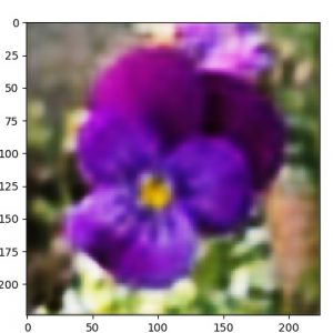 ae_oxf17f_decoded.50.16