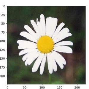 ae_oxf17f_sample.50.10