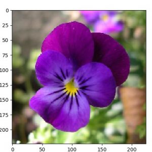 ae_oxf17f_sample.50.16