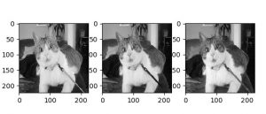 incept3_features_sora02.sample2